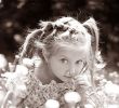 shutterstock_81169390.jpg